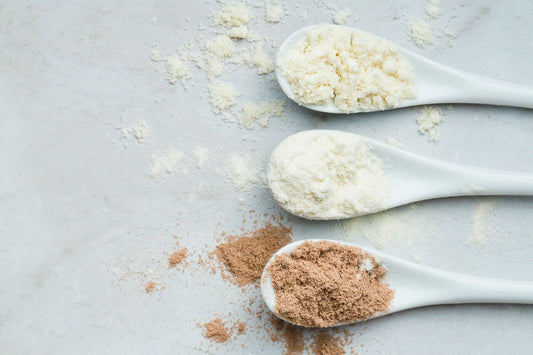 Protein Powder Made For The Lactose Intolerant