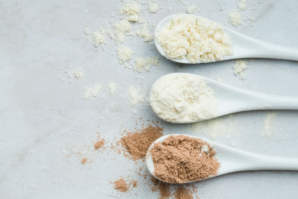 Protein Powder Made For The Lactose Intolerant