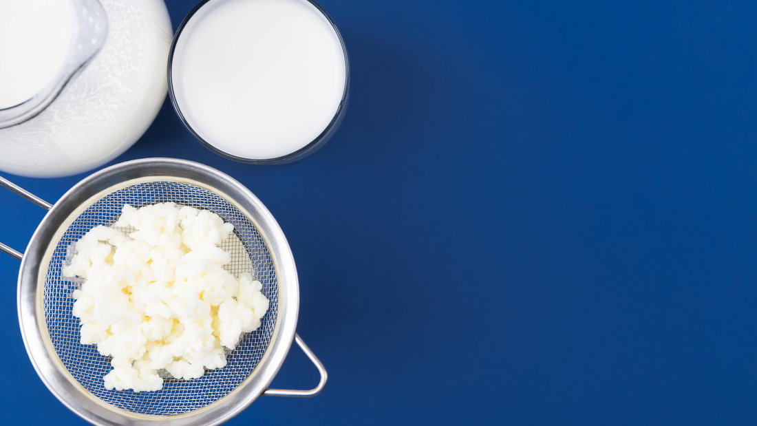 What Causes Lactose Intolerance? Exploring The Science